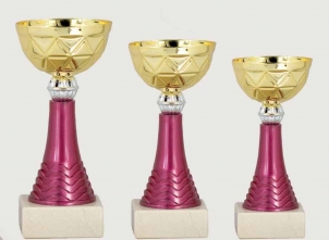 0416 Copa deporte Económica