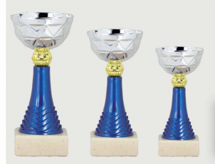 0417 Copa Esport Econ&ograve;mica