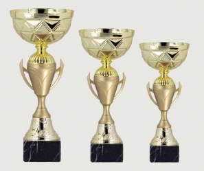 0425 Copa Esport Econ&ograve;mica