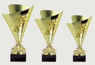 0427 Copa Esport Econ&ograve;mica