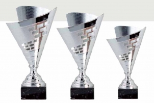 0428 Copa Esport Econ&ograve;mica