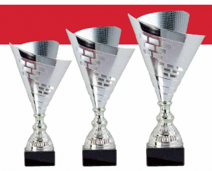 0429 Copa Esport Econ&ograve;mica