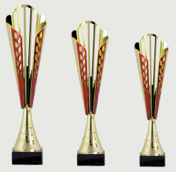 0433 Copa Esport Econ&ograve;mica