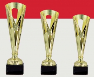 0435 Copa Esport Econ&ograve;mica