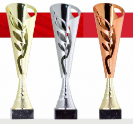 0438 Copa Esport Econ&ograve;mica