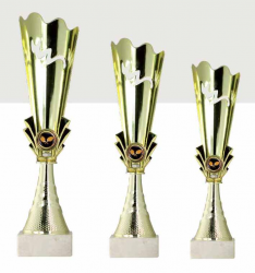 0443 Copa Esport Econ&ograve;mica