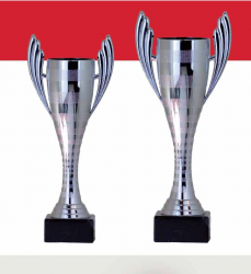 0453 Copa Esport Econ&ograve;mica