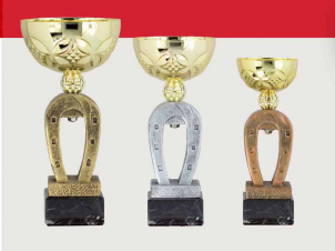 0468 Copa deporte tematica