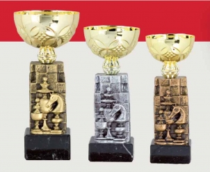 0471 Copa deporte tematica